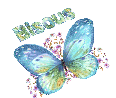 image scintillant